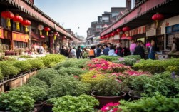 北京盆栽花卉早市，北京花卉早市批发