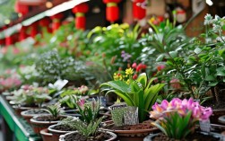 广州花卉市场小盆栽，广州花卉市场小盆栽有哪些