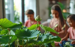 家庭可以盆栽芡实吗，家庭可以盆栽芡实吗图片
