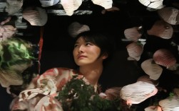 盆栽 木本 齿 阔叶，木本阔叶盆栽有哪些