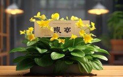 蒲公英盆栽能放室内吗，蒲公英盆栽能放室内吗冬天