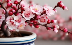红梅花图片盆栽，红梅花图片盆栽大全