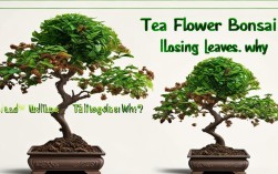 茶花盆栽枯萎掉叶，茶花盆栽枯萎掉叶怎么回事