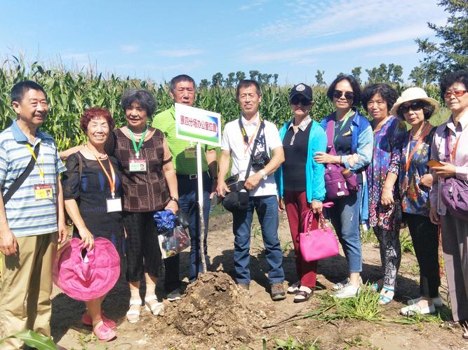 申通齐齐哈尔到天津快递多久到?