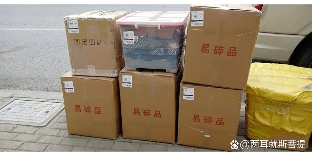 上海物流021,服务范围覆盖哪些区域?