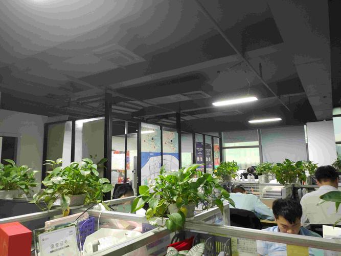 安能物流宁波北仑电话是多少?