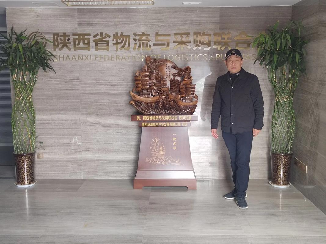 西安商贸物流有限公司有何业务优势?