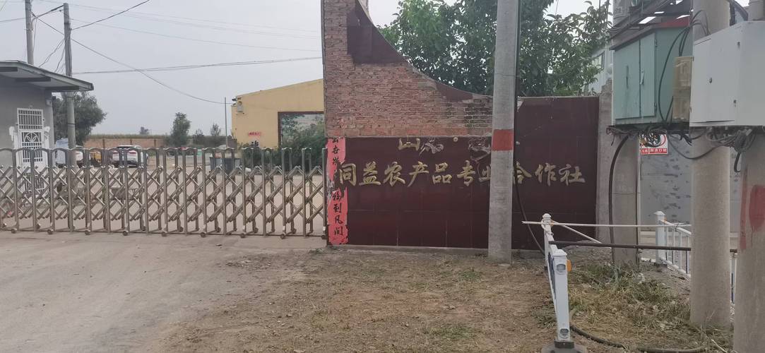 山东聊城冠县物流公司哪家好?