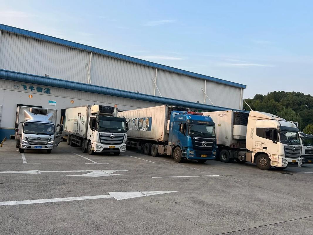 上海金波物流有限公司靠谱吗?