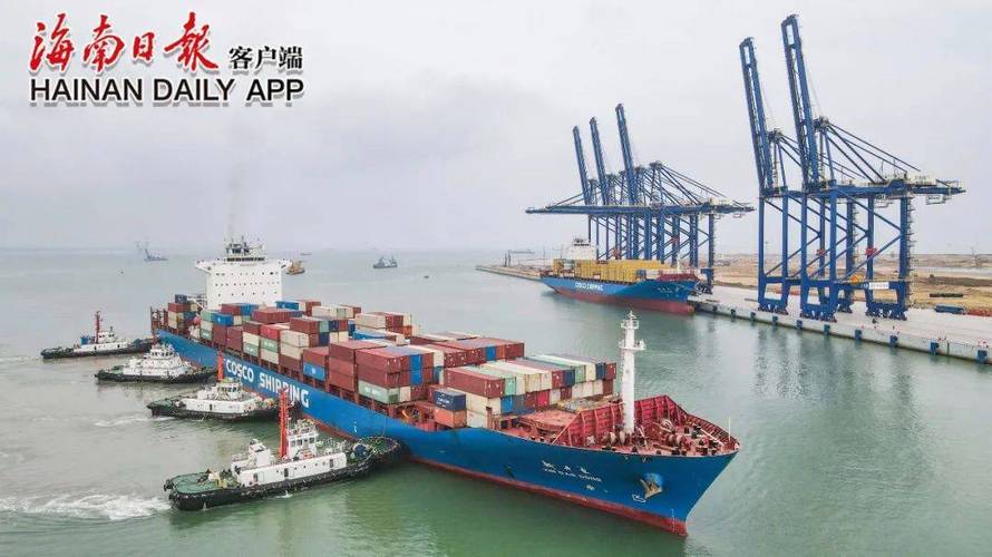 上海洋港物流有限公司怎么样?