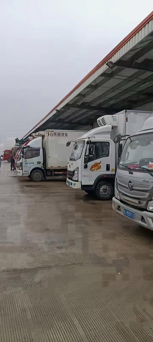 湖南物流服务有限公司怎么样?