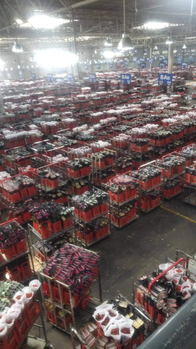 斗南花卉物流如何高效畅通?