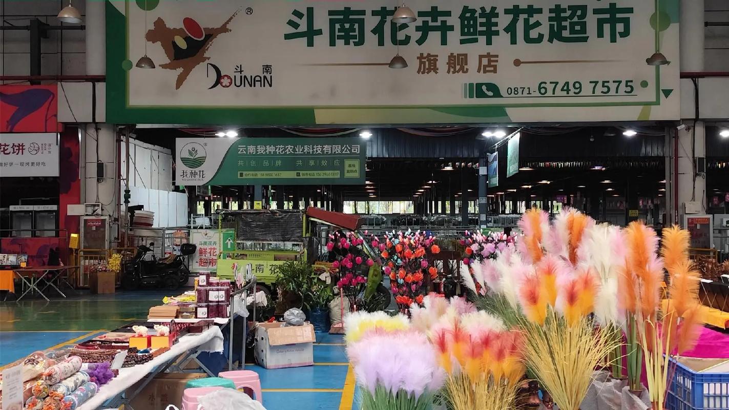 斗南花卉物流如何高效畅通?