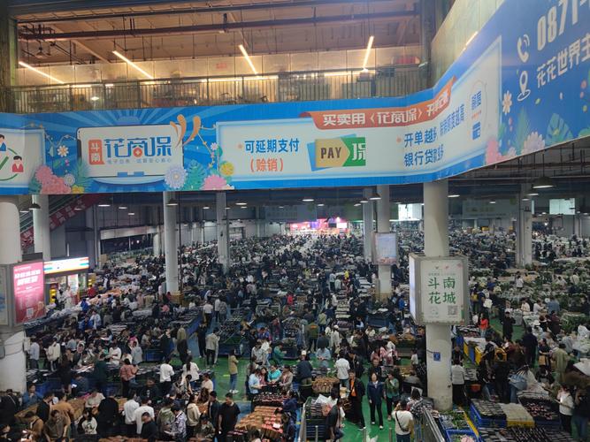 斗南花卉物流如何高效畅通?