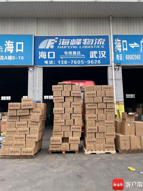 海口南海物流电话号码是多少？