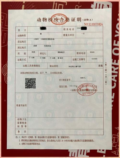 野兔物流托运单号怎么查？