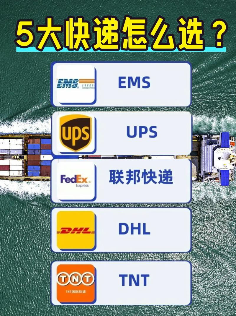 中翼国际物流如何快速查询?