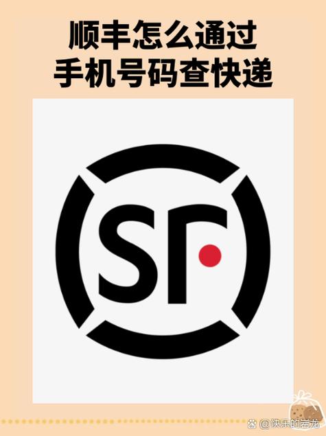 优速物流单号怎么查？实时跟踪信息在哪看？