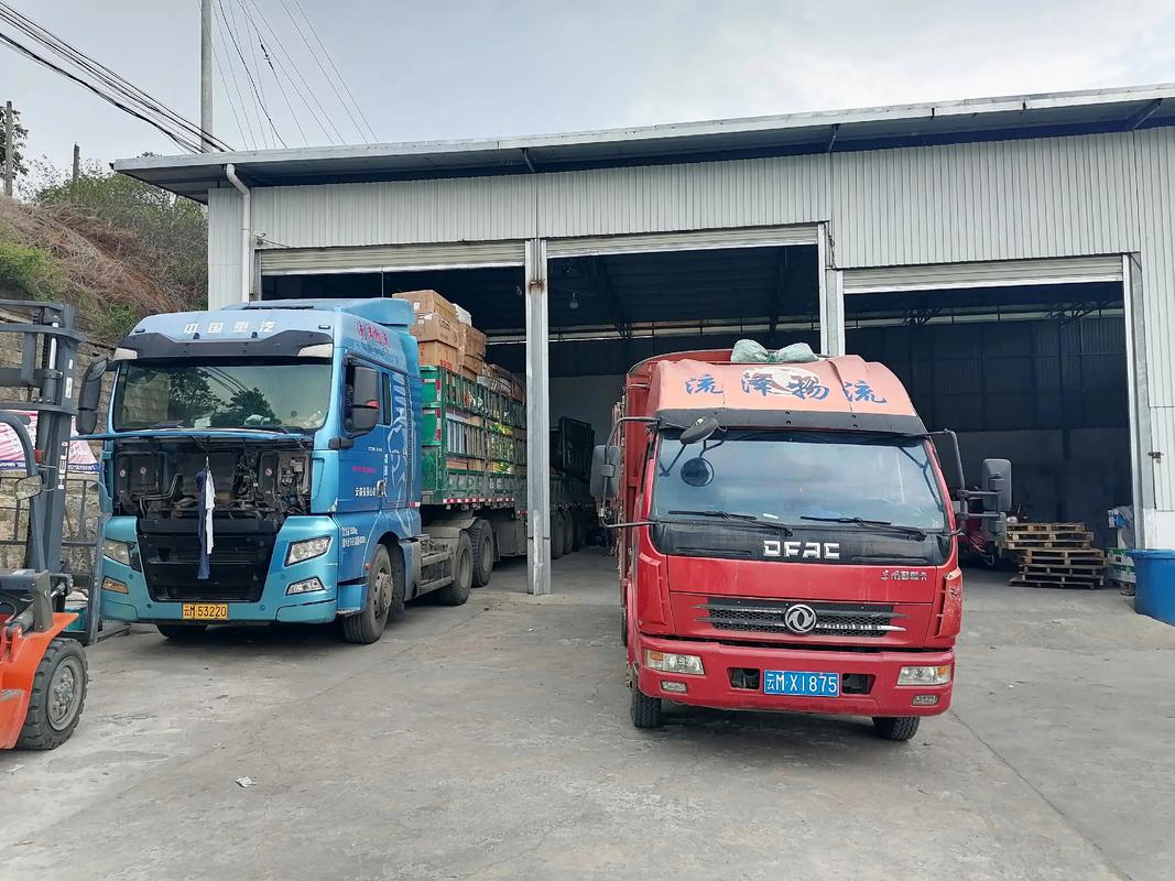 深圳龙华物流公司电话是多少?