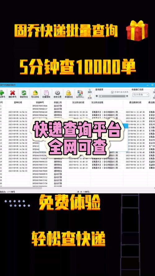 订单编号查询快递物流